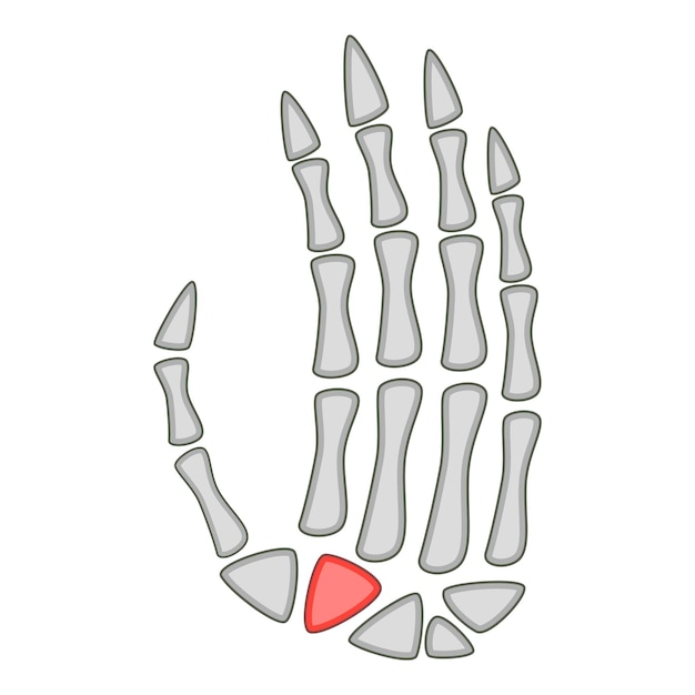 ベクトル 人体解剖学手の手のひらのアイコン web の人体解剖学手の手のひらベクトル アイコンの漫画イラスト
