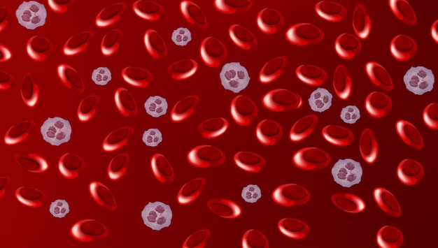 Vector human blood cells