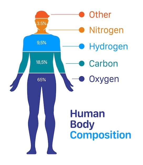 Illustrazione vettoriale del grafico della composizione degli elementi chimici del corpo umano