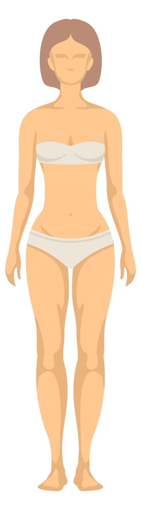 Vector human body icon female figure front view