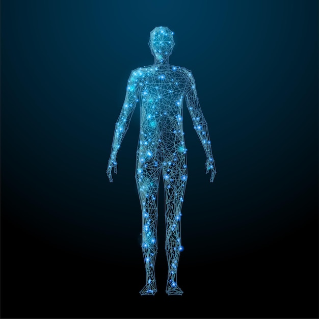 Vector human body low poly wireframe vector polygonal image in the form of a starry sky or space