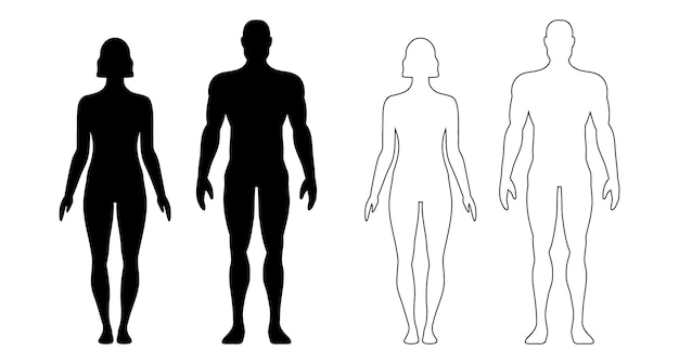 human body man and woman silhouette male and female figure vector monochrome isolated person outline standing full height outline and black people anatomy representation