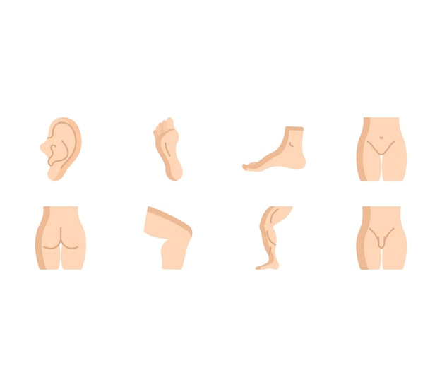 Human Body Parts illustration set