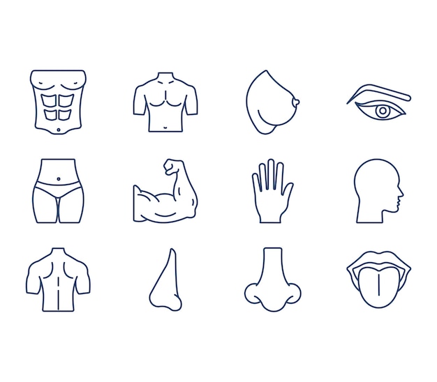 Human Body Parts illustration set