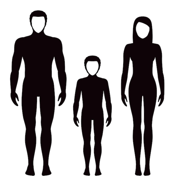 Vector human body's people silhouettes flat vector