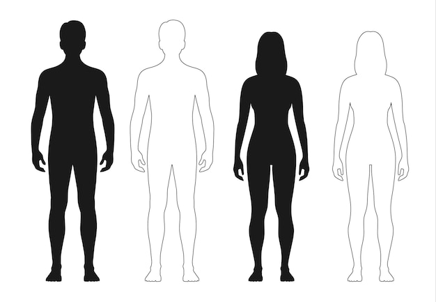 Vector human body silhouette man woman outline figure