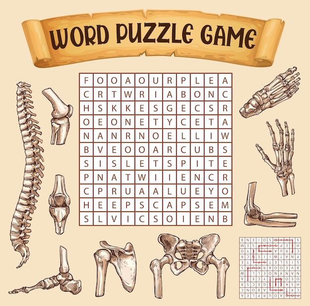 Human bones word search puzzle game worksheet