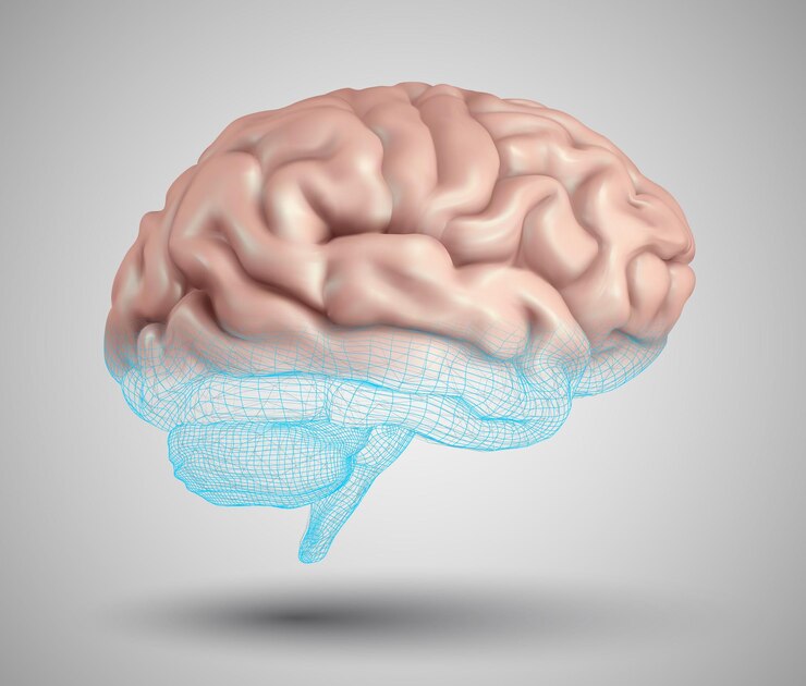 Vector human brain and abstract design elements mesh vector