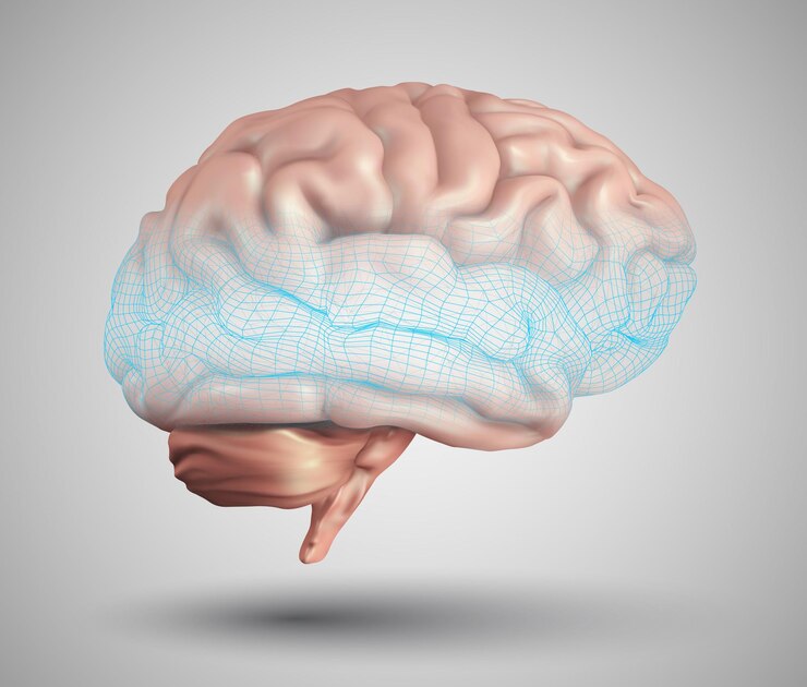 Vector human brain and abstract design elements. mesh  