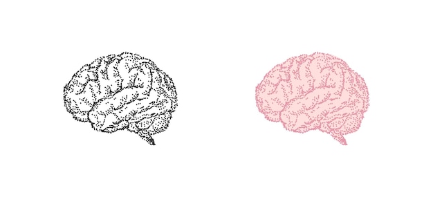 인간의 뇌 해부학 기관 그린 벡터 빈티지 도트 그림