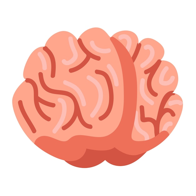 Human brain Cartoon organ Vector illustration