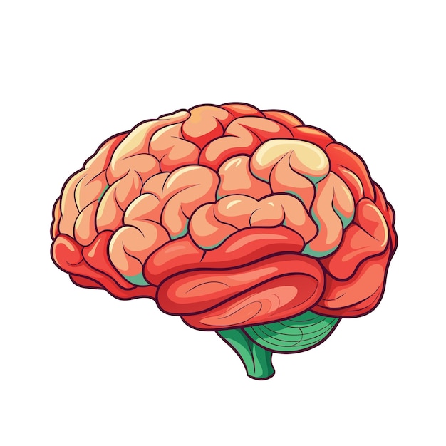 Human brain cartoon style on white background