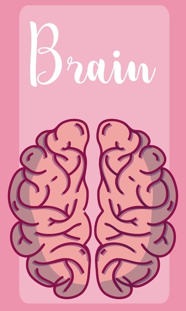 Vector human brain cartoon