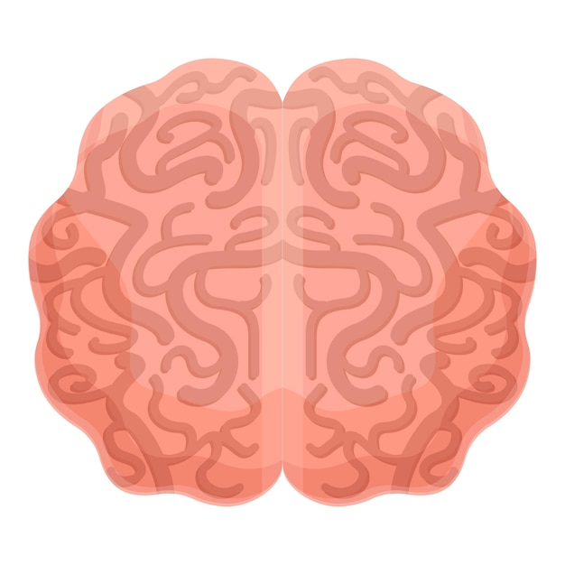 벡터 인간 두뇌 소뇌 아이콘 흰색 배경에 고립 된 웹 디자인을 위한 인간 두뇌 소뇌 벡터 아이콘 만화