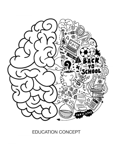 Vector human brain, education.