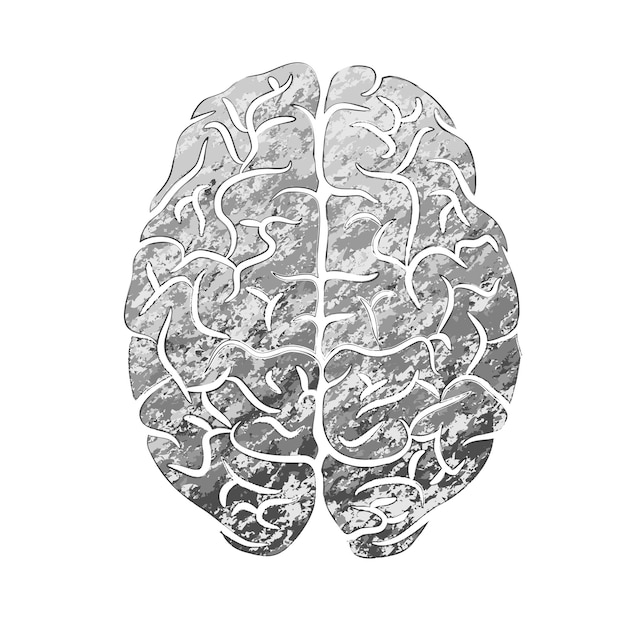 Vector human brain gray color