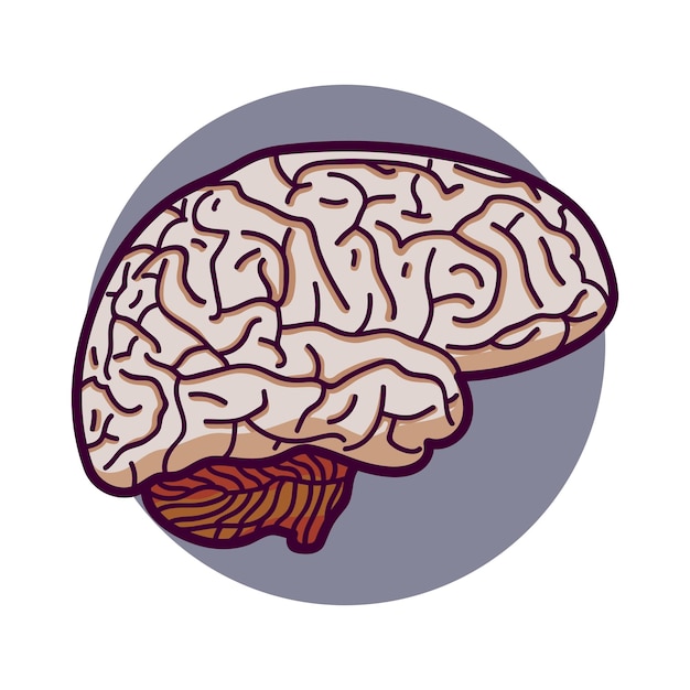 人間の脳のアイコンまたはロゴ漫画のスタイルで人間の脳分離された白い背景の上に碑文の場所があります。