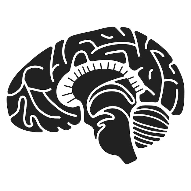 Human brain icon Simple illustration of human brain vector icon for web design isolated on white background