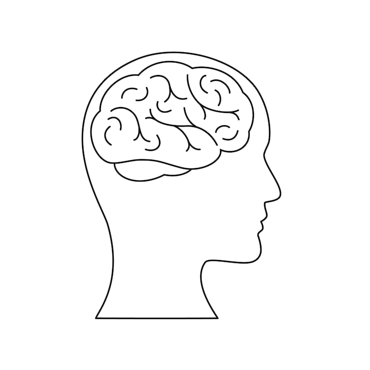 Vector human brain icon vector illustration on a white background