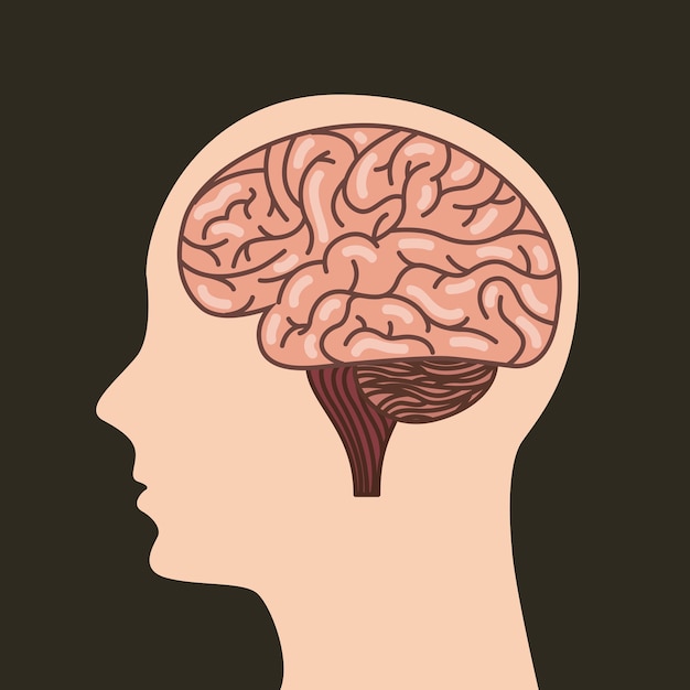 human brain icon