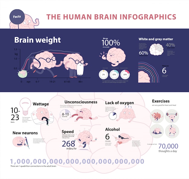 Insieme infographic 2 del cervello umano, immagini isolate vettore del fumetto accompagnate con i fatti ed i grafici di statistica