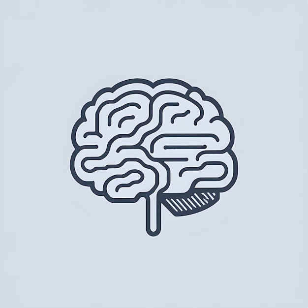 Human brain linear icon thin linear human brain outline icon line vector sign symbol for web