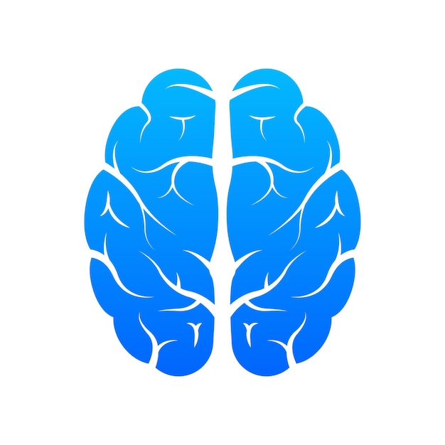 Human brain medical Internal organ Neural network Brainstorming idea