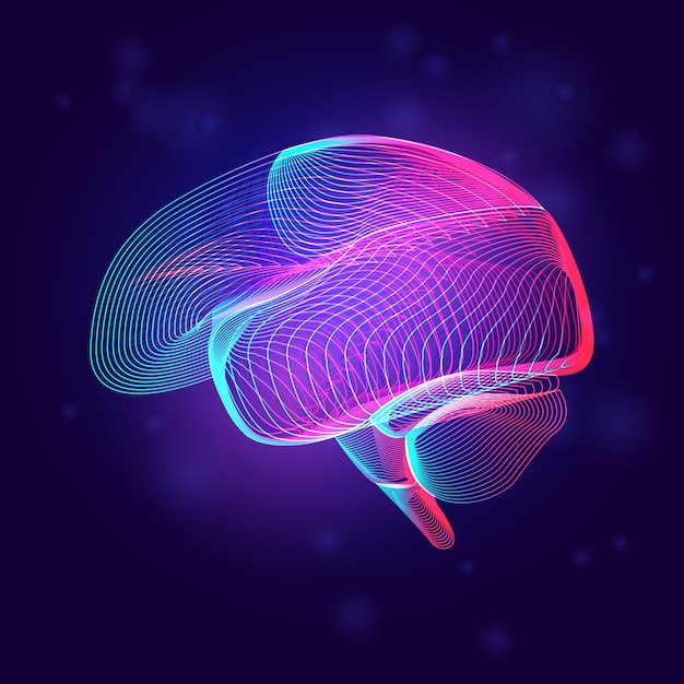 Human brain medical structure. Outline of body part organ anatomy in 3d line art style on neon abstract background