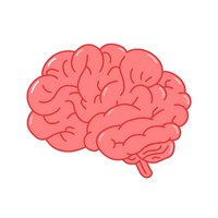 Vector human brain organ.vector hand drawn doodle line style cartoon character logo illustration. isolated onw hite background. human brain organ,anatomy logo concept