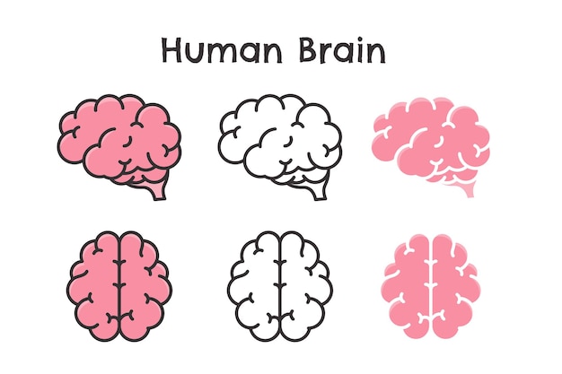 Vector human brain set