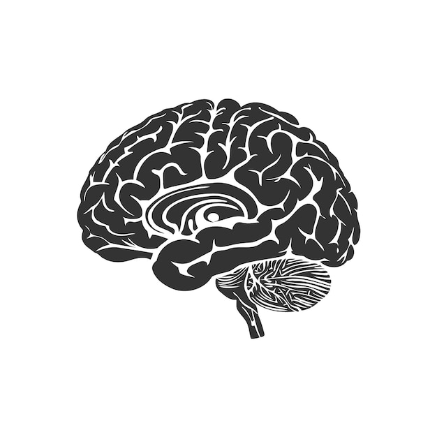 Human brain silhouette icon Vector illustration design