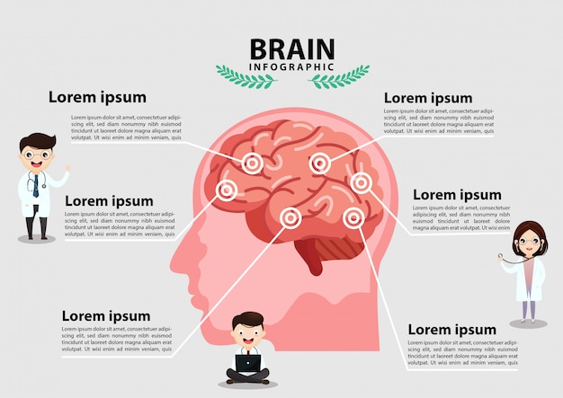 human brain stroke .