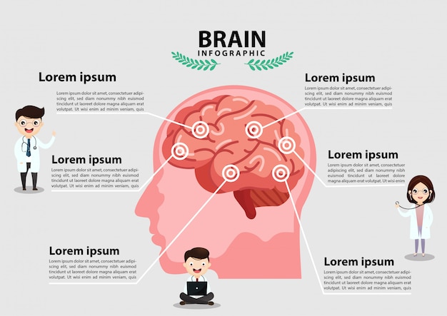 Vector human brain stroke .