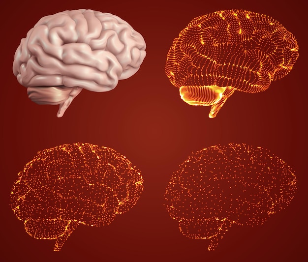 Human brain Vector set in different styles meshe