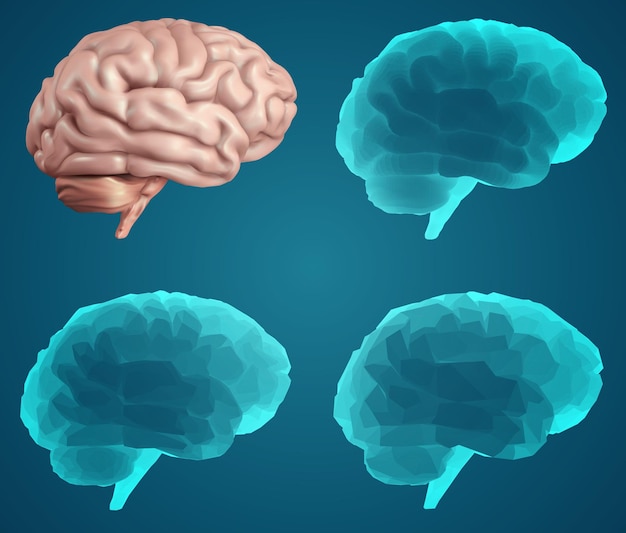 Human brain vector set in different styles meshe