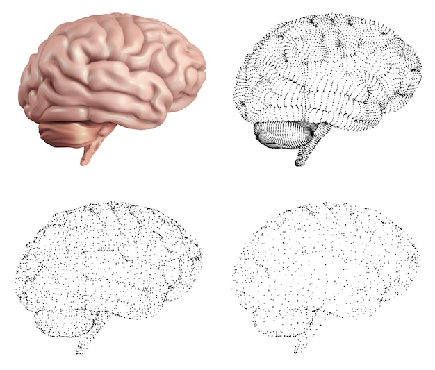 Вектор Вектор человеческого мозга в разных стилях сетки