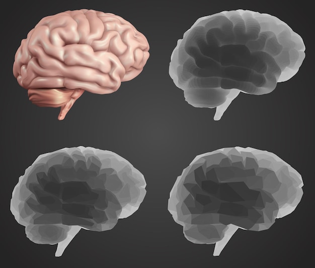 Вектор человеческого мозга в разных стилях сетки