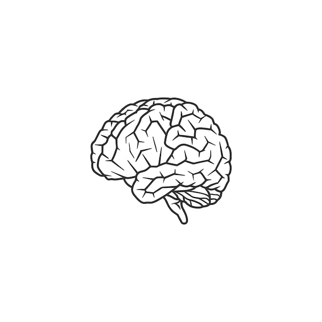 human brain vector