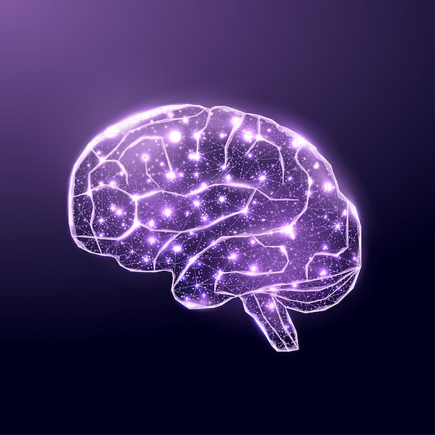 人間の脳。ワイヤーフレーム低ポリスタイル。医療、脳腫瘍、ニューラルネットワークの概念。紺色の背景に抽象的なモダンな3dベクトルイラスト。