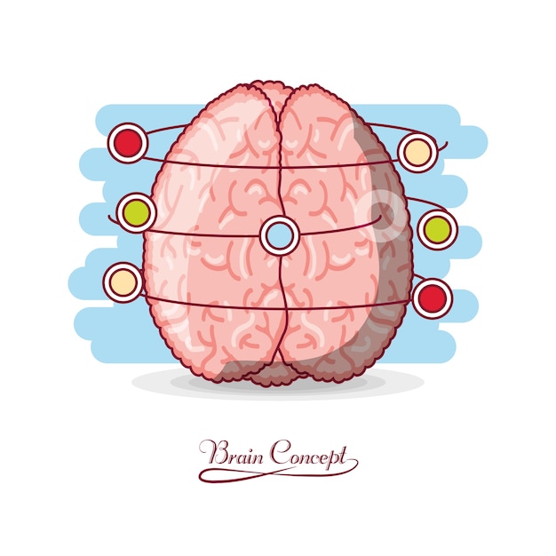 human brain with colorful dots 