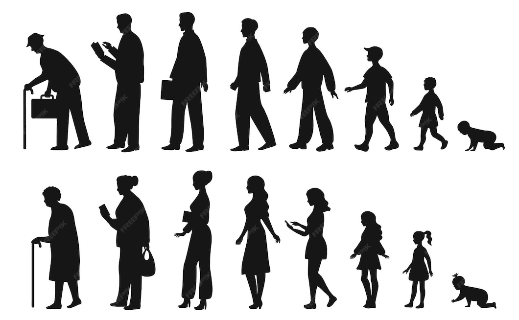 Premium Vector Human in different ages silhouette profile of male and