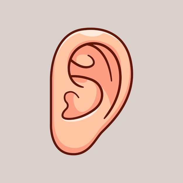 Human Ear Cartoon Vector Icon Illustration Education Object Icon Isolated Flat Vector