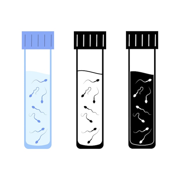 Vettore anatomia delle cellule uovo umane. fecondazione, ginecologia e ricerca in fecondazione in vitro.