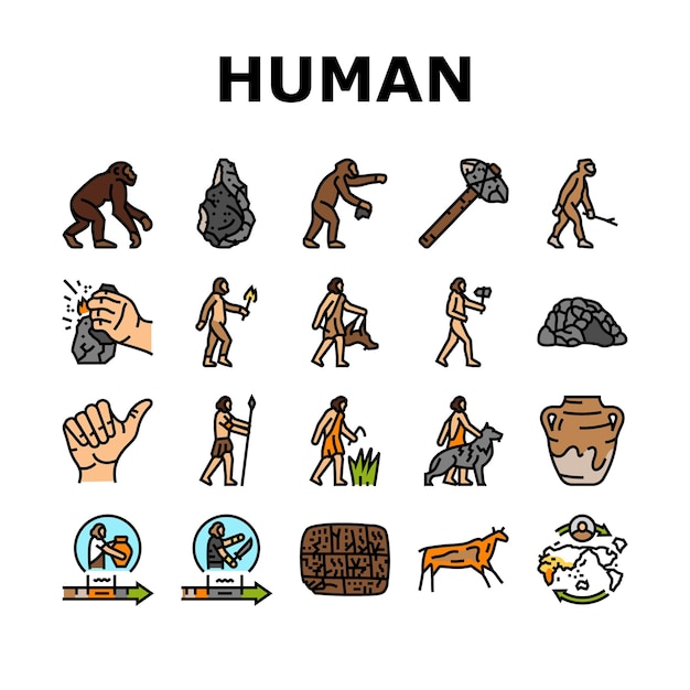 Human evolution man caveman icons set vector