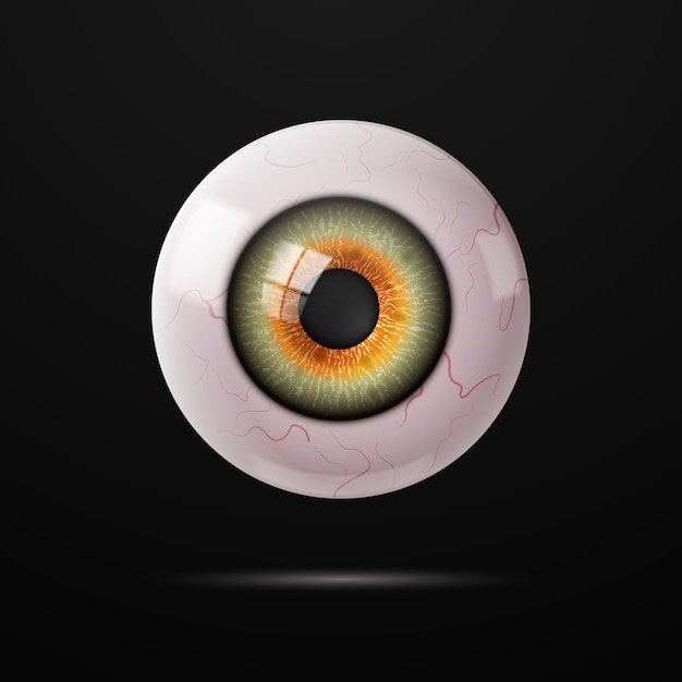 Vector human eye with veins on a dark background.