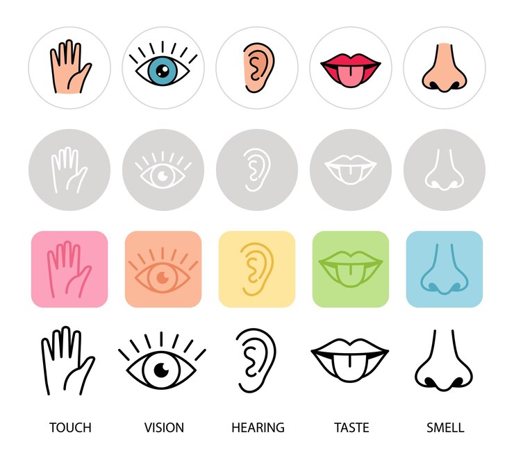 Vector human feelings five senses vector illustration lips hand nose eye and ear icons smell touch hearing sensory and taste senses pictograms