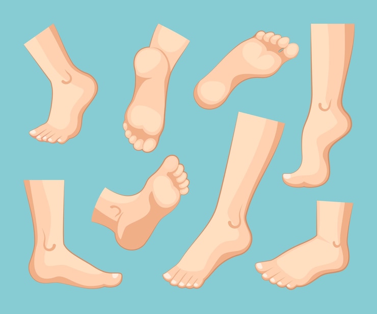 विभिन्न पोज वाले मानव पैर, पुरुषों और महिलाओं के पैर, पोडियाट्री (podiatry), पदचिह्न कला, स्वास्थ्य, भोजन, पैर
