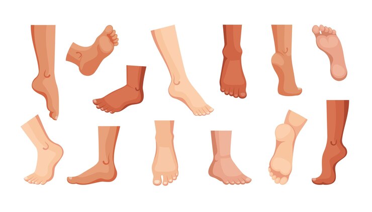 Human feet set podiatry footstep art man and woman feet in different poses views health food leg