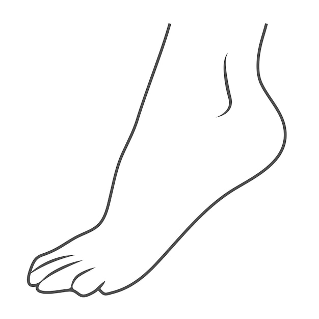 Human foot leg icon isolated on a white background vector illustration