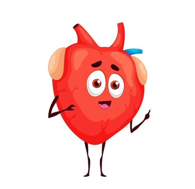 Human funny heart character anatomy mascot